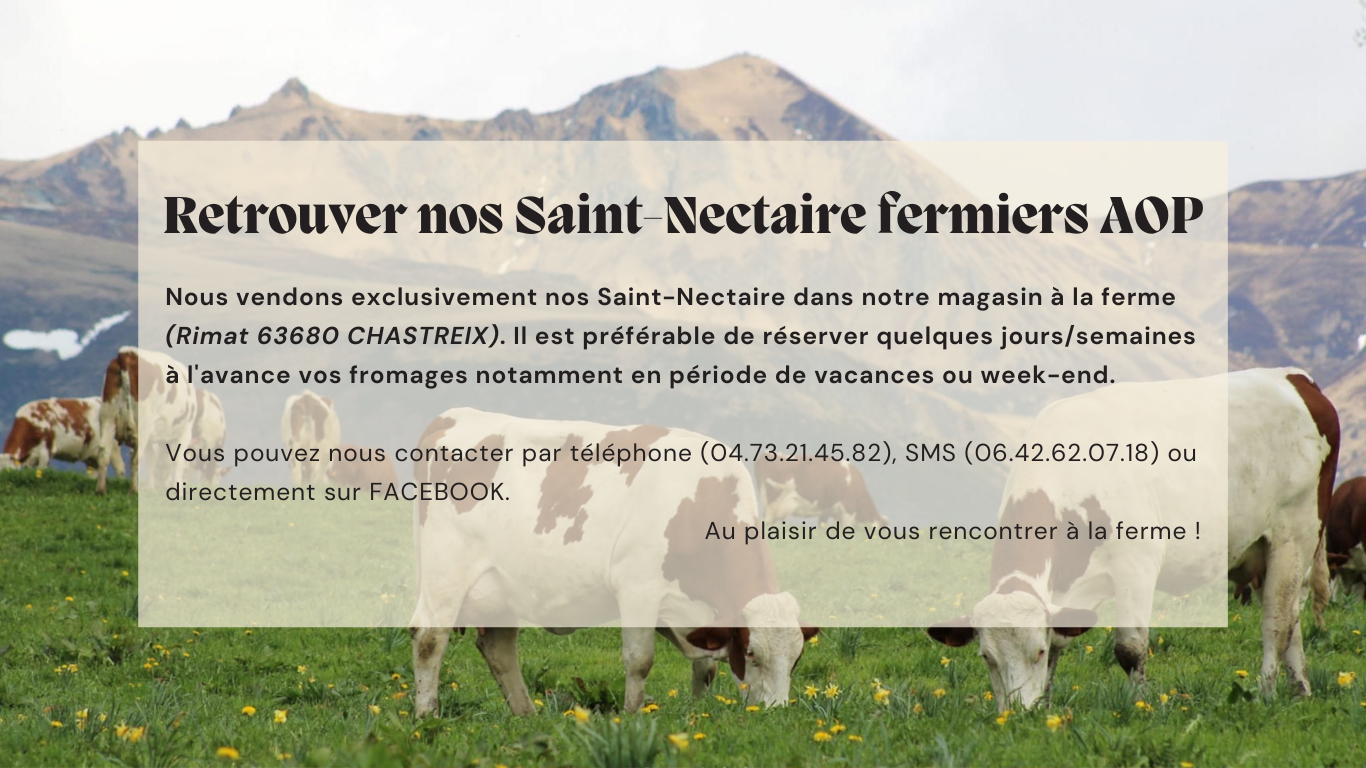 A taille humaine les exploitations qui produisent le lait destine a la fabrication du fromage saint nectaire respectent un cahier des charges pre cis dont les points principaux son